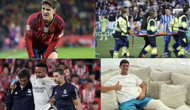 锺舒卉谈期 锺舒卉谈期